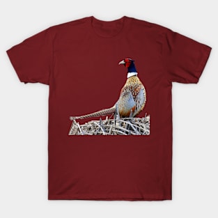 Ring-necked Pheasant Photo T-Shirt